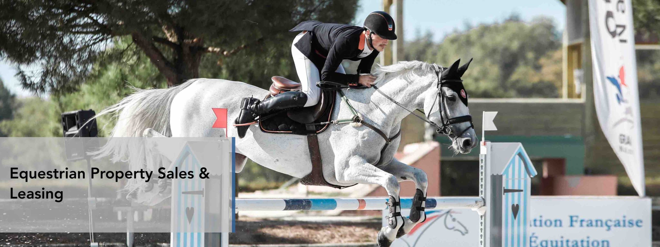 Equestrian Property Sales & Leasing